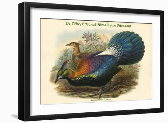 Lophophorus L'Huysi - De L'Huys' Monal Himalayan Pheasant-John Gould-Framed Art Print