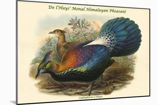 Lophophorus L'Huysi - De L'Huys' Monal Himalayan Pheasant-John Gould-Mounted Art Print