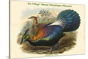 Lophophorus L'Huysi - De L'Huys' Monal Himalayan Pheasant-John Gould-Stretched Canvas