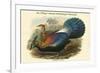 Lophophorus L'Huysi - De L'Huys' Monal Himalayan Pheasant-John Gould-Framed Premium Giclee Print