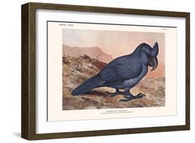 Lophopsittacus Mauritanus-Lionel Walter Rothschild-Framed Art Print