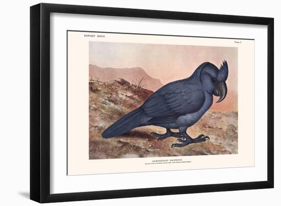 Lophopsittacus Mauritanus-Lionel Walter Rothschild-Framed Art Print