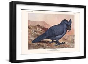 Lophopsittacus Mauritanus-Lionel Walter Rothschild-Framed Art Print