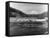 Lopwell Dam-null-Framed Stretched Canvas