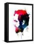 Framed Canvas