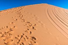 Footprints in Desert in Coral Pink Sand Dunes State Park,Utah-lorcel-Stretched Canvas