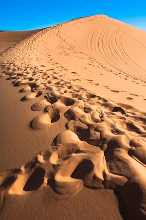 Footprints in Desert in Coral Pink Sand Dunes State Park,Utah