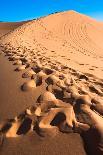 Footprints in Desert in Coral Pink Sand Dunes State Park,Utah-lorcel-Laminated Photographic Print