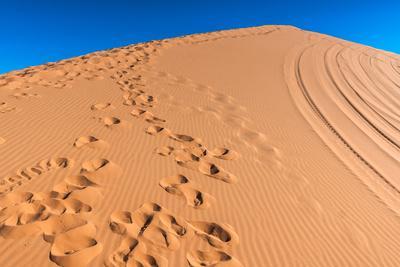 Footprints in Desert in Coral Pink Sand Dunes State Park,Utah
