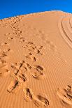 Footprints in Desert in Coral Pink Sand Dunes State Park,Utah-lorcel-Photographic Print
