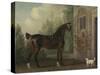 Lord Abergavenny's Dark Bay Carriage Horse with a Terrier, 1785-Thomas Gooch-Stretched Canvas