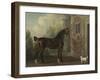 Lord Abergavenny's Dark Bay Carriage Horse with a Terrier, 1785-Thomas Gooch-Framed Giclee Print