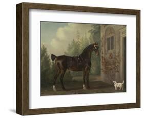 Lord Abergavenny's Dark Bay Carriage Horse with a Terrier, 1785-Thomas Gooch-Framed Giclee Print