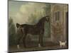 Lord Abergavenny's Dark Bay Carriage Horse with a Terrier, 1785-Thomas Gooch-Mounted Giclee Print