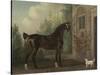 Lord Abergavenny's Dark Bay Carriage Horse with a Terrier, 1785-Thomas Gooch-Stretched Canvas