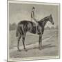 Lord Alington's Common, Winner of the Two Thousand Guineas, and Favourite for the Derby-null-Mounted Giclee Print