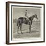 Lord Alington's Common, Winner of the Two Thousand Guineas, and Favourite for the Derby-null-Framed Giclee Print