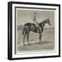 Lord Alington's Common, Winner of the Two Thousand Guineas, and Favourite for the Derby-null-Framed Giclee Print