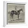 Lord Alington's Common, Winner of the Two Thousand Guineas, and Favourite for the Derby-null-Framed Giclee Print