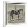 Lord Alington's Common, Winner of the Two Thousand Guineas, and Favourite for the Derby-null-Framed Giclee Print