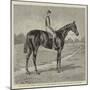 Lord Alington's Common, Winner of the Two Thousand Guineas, and Favourite for the Derby-null-Mounted Giclee Print