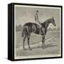 Lord Alington's Common, Winner of the Two Thousand Guineas, and Favourite for the Derby-null-Framed Stretched Canvas