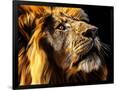 Gramercy Black