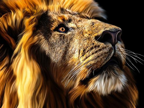 Giclee Print, , large