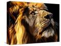 Stretched Canvas