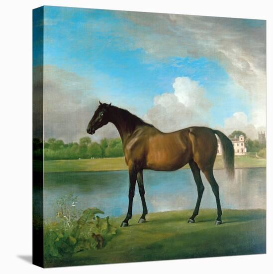 Lord Bolingbroke's Brood Mare in the Grounds of Lydiard Park, Wiltshire, C.1764-66-George Stubbs-Stretched Canvas