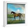 Lord Bolingbroke's Brood Mare in the Grounds of Lydiard Park, Wiltshire, C.1764-66-George Stubbs-Framed Giclee Print