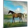 Lord Bolingbroke's Brood Mare in the Grounds of Lydiard Park, Wiltshire, C.1764-66-George Stubbs-Mounted Giclee Print