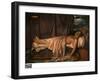 Lord Byron on His Deathbed, C.1826 (Oil on Canvas)-Joseph Denis Odevaere-Framed Giclee Print