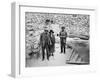 Lord Carnavon's first visit to the Valley of the Kings, Egypt, 1922-Harry Burton-Framed Photographic Print