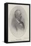 Lord Cromer, British Minister-Plenipotentiary in Egypt-null-Framed Stretched Canvas