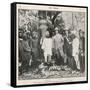 Lord Curzon in Jungle-null-Framed Stretched Canvas