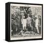 Lord Curzon in Jungle-null-Framed Stretched Canvas