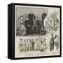 Lord Dufferin at Indore-null-Framed Stretched Canvas