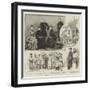 Lord Dufferin at Indore-null-Framed Giclee Print