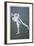 Lord Harris - Cricketer-null-Framed Art Print