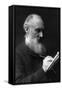 Lord Kelvin, English Physicist-Science Source-Framed Stretched Canvas