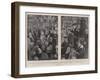 Lord Kitchener and Mr Cecil Rhodes Receiving Honorary Degrees at Oxford University-Walter Duncan-Framed Giclee Print