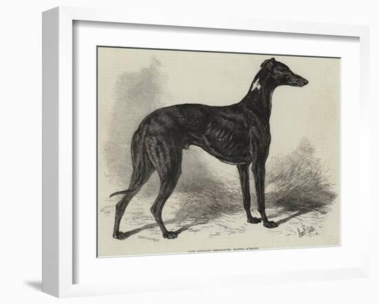 Lord Lurgan's Greyhound, Master M'Grath-Samuel John Carter-Framed Giclee Print