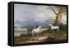 Lord Macdonald's Mares on the Grounds of Thorpe Hall, Rudston, Yorkshire, 1836-John E. Ferneley-Framed Stretched Canvas