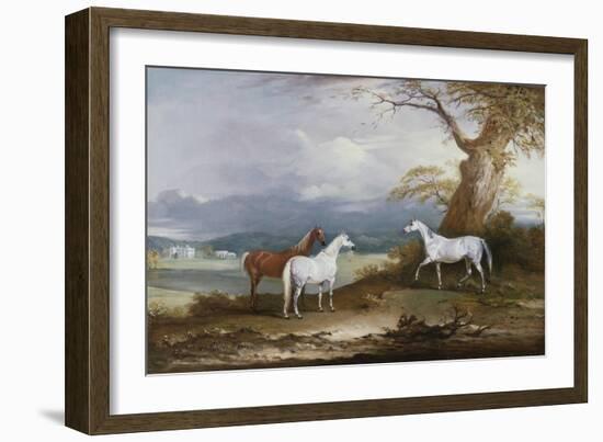 Lord Macdonald's Mares on the Grounds of Thorpe Hall, Rudston, Yorkshire, 1836-John E. Ferneley-Framed Giclee Print