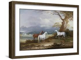 Lord Macdonald's Mares on the Grounds of Thorpe Hall, Rudston, Yorkshire, 1836-John E. Ferneley-Framed Giclee Print