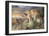 Lord of the Canyon-Trevor V. Swanson-Framed Premium Giclee Print