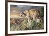 Lord of the Canyon-Trevor V. Swanson-Framed Giclee Print