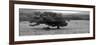 Lord Of The Trees-Herb Dickinson-Framed Photographic Print