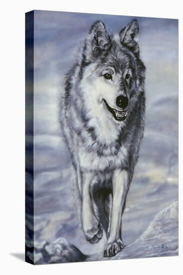 Lord of the Winterland-Jenny Newland-Stretched Canvas